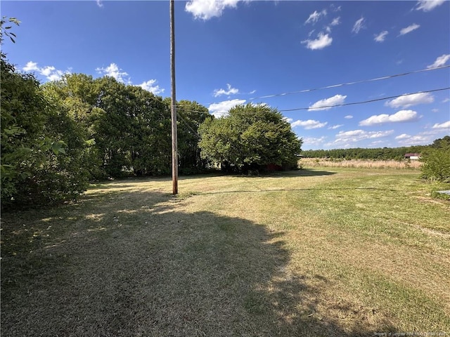 6695 Maxwell Rd, Stedman, NC 28391 - view of green lawn