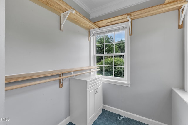 302 Hester St, Knightdale, NC 27545 - walk in closet featuring dark carpet