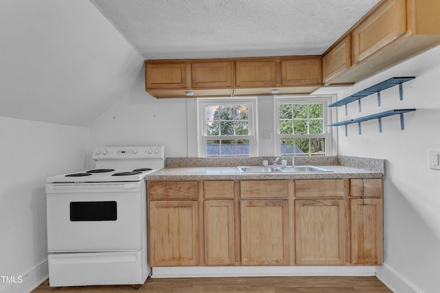 302 Hester St, Knightdale, NC 27545 - kitchen featuring white range with electric cooktop, a sink, open shelves, light wood-type flooring, and light countertops