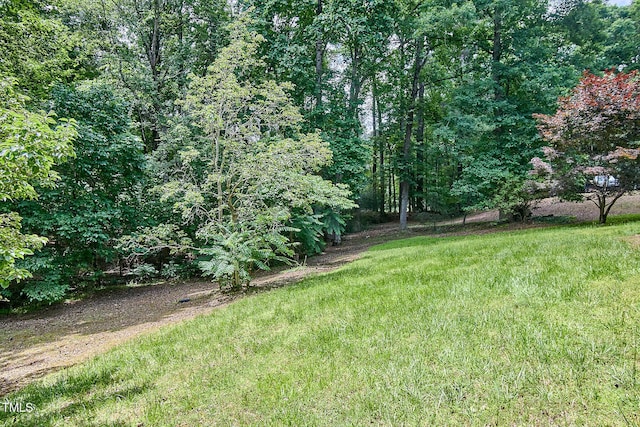 view of grassy yard