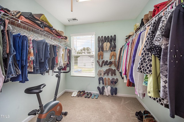 3403 Cardinal Lake Dr, Durham, NC 27704 - spacious closet featuring carpet floors