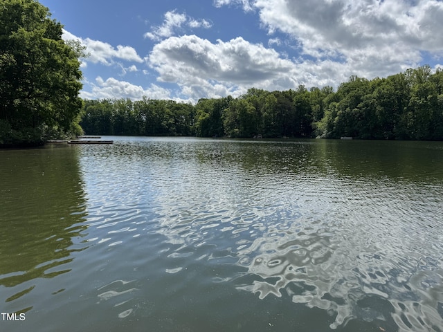 water view with a forest