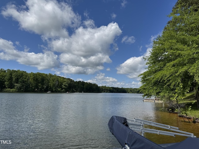 dock area featuring a water view and a forest view