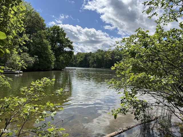 water view with a heavily wooded area