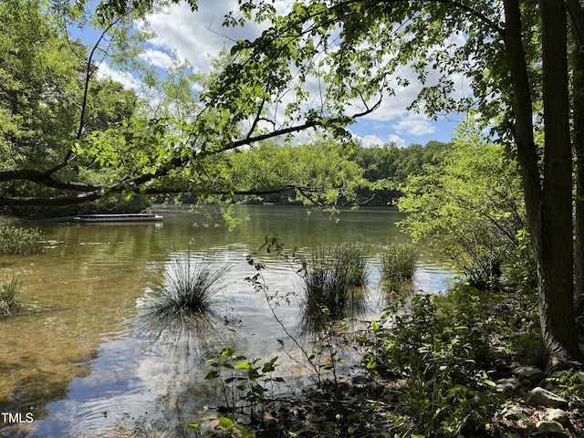 water view with a heavily wooded area