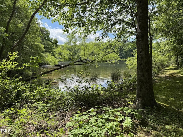 water view with a heavily wooded area