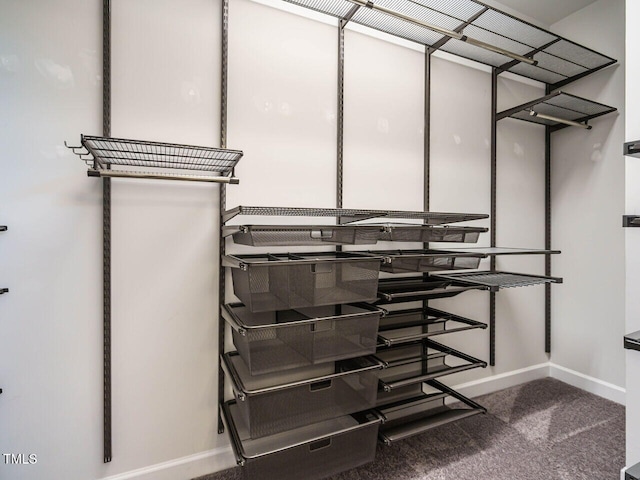 spacious closet with carpet floors