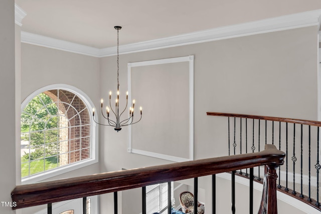 detailed view of a chandelier and ornamental molding