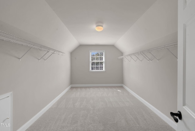 spacious closet with lofted ceiling and carpet flooring