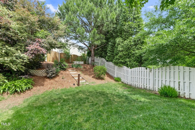 view of yard