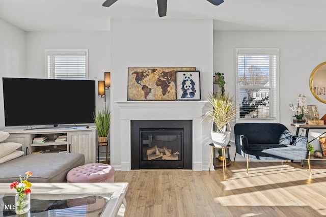 living room with ceiling fan, wood finished floors, and a glass covered fireplace