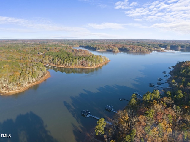 50 Tyler Ct, Henderson, NC 27537 - bird's eye view of a forest and a large body of water