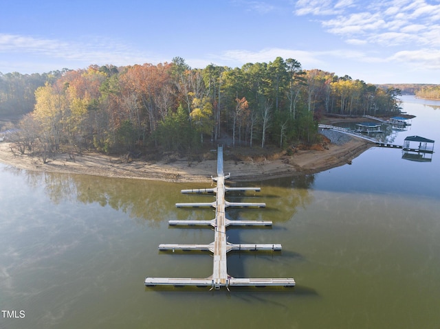 50 Tyler Ct, Henderson, NC 27537 - water view with a boat dock and a heavily wooded area
