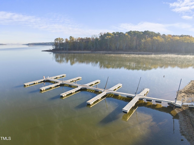 50 Tyler Ct, Henderson, NC 27537 - dock with a water view and a wooded view