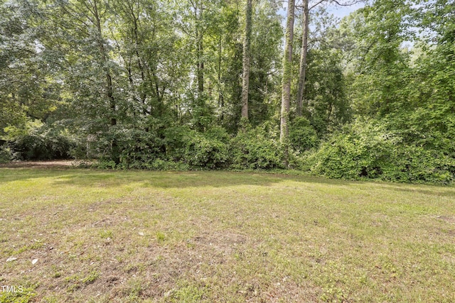 view of grassy yard