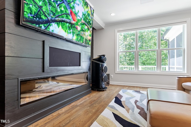 living area featuring baseboards, crown molding, wood finished floors, and recessed lighting