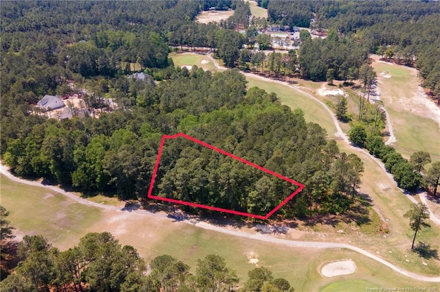 Caddie Ct, Wagram, NC 28396