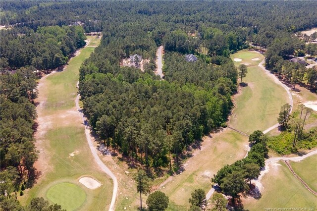 Caddie Ct, Wagram, NC 28396