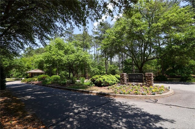 Caddie Ct, Wagram, NC 28396