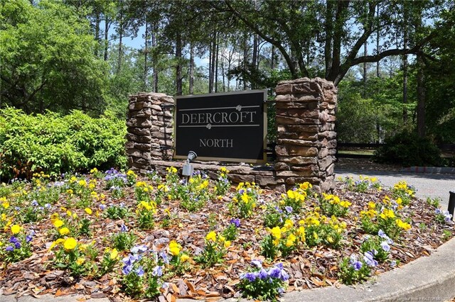 Caddie Ct, Wagram, NC 28396
