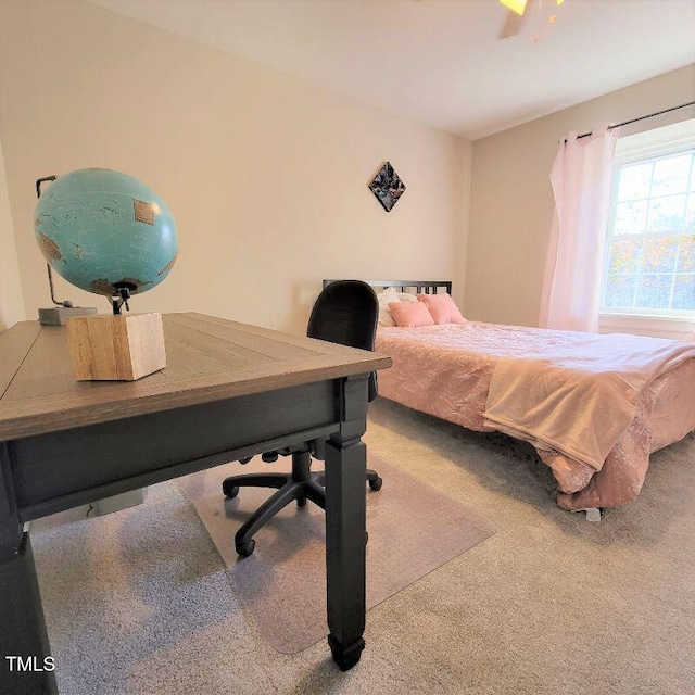 bedroom with carpet flooring