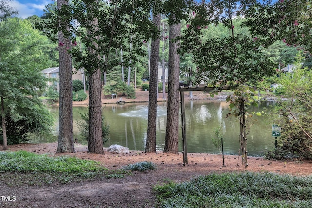 632 Middleton Ave, Cary, NC 27513 - photo 29