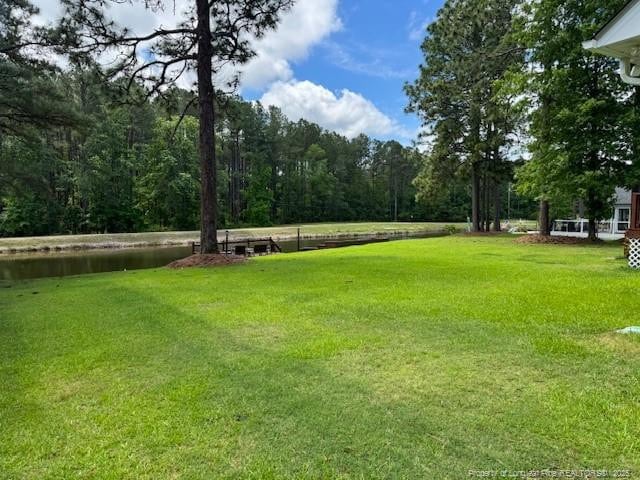 49 Pebble Beach Pt, Sanford, NC 27332 - view of grassy yard featuring a water view