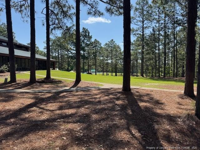 49 Pebble Beach Pt, Sanford, NC 27332 - view of property's community featuring a yard