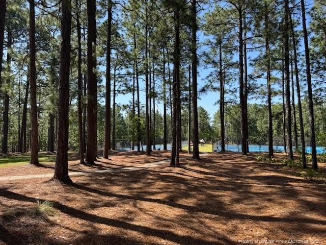 49 Pebble Beach Pt, Sanford, NC 27332 - view of home's community
