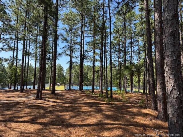 49 Pebble Beach Pt, Sanford, NC 27332 - view of community