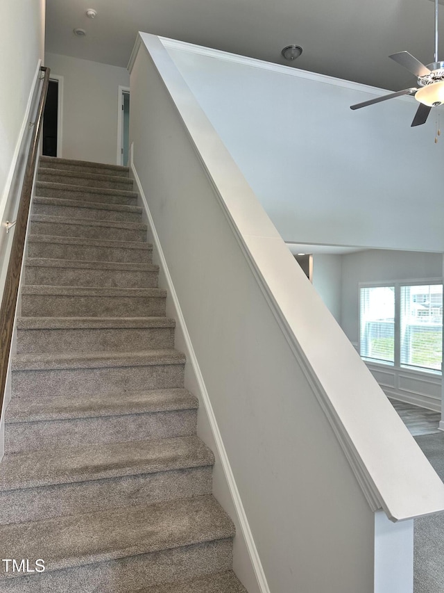 stairway with ceiling fan