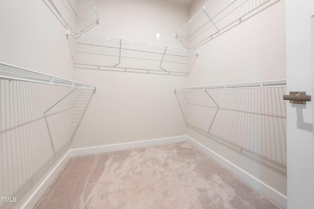 1437 Newpoint Dr, Durham, NC 27713 - walk in closet featuring carpet floors