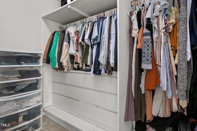 100 Stratford Lakes Dr Unit 361, Durham, NC 27713 - view of walk in closet