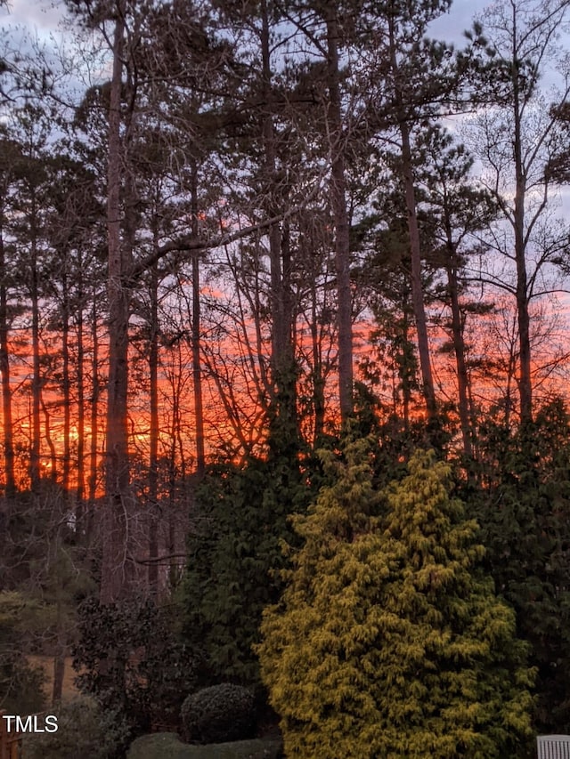 view of woods