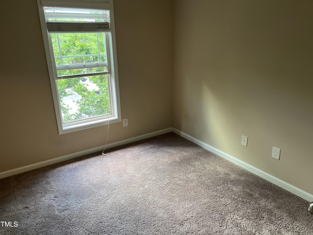 spare room with carpet flooring, healthy amount of natural light, and baseboards