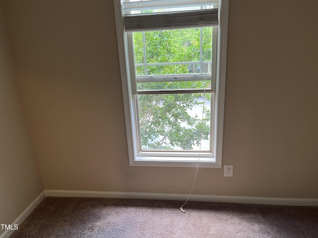 spare room with carpet flooring, plenty of natural light, and baseboards
