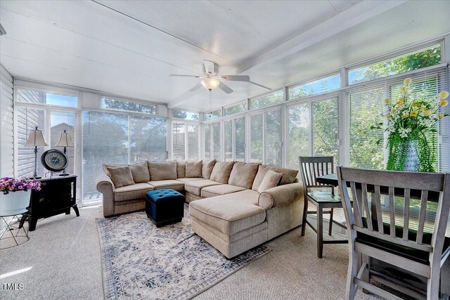 sunroom / solarium with carpet