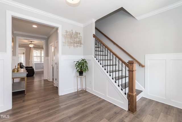 76 Freewill Pl, Raleigh, NC 27603 - stairway featuring a decorative wall, wood finished floors, crown molding, wainscoting, and a ceiling fan