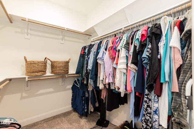 76 Freewill Pl, Raleigh, NC 27603 - spacious closet with carpet