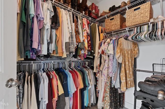 view of spacious closet