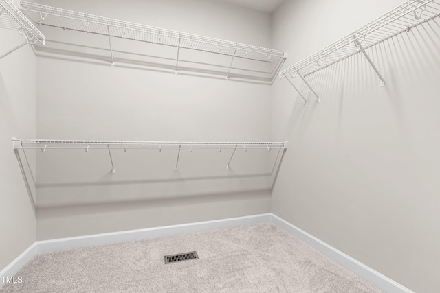 112 River Dell Townes Ave, Clayton, NC 27527 - spacious closet with carpet