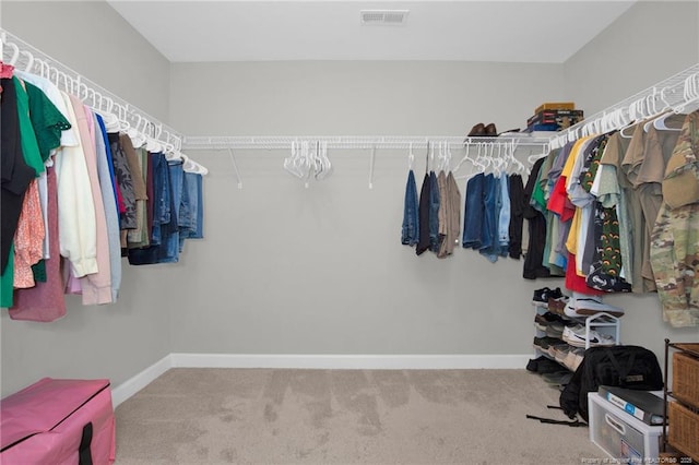 walk in closet with carpet flooring