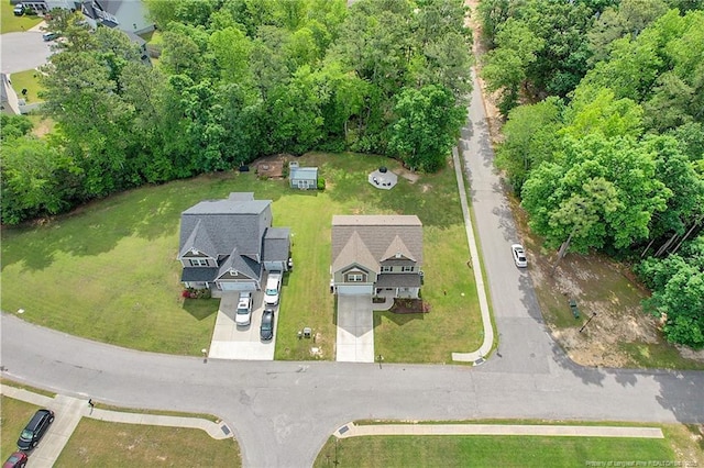 bird's eye view