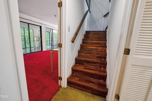 3416 Ocotea St, Raleigh, NC 27607 - staircase with carpet