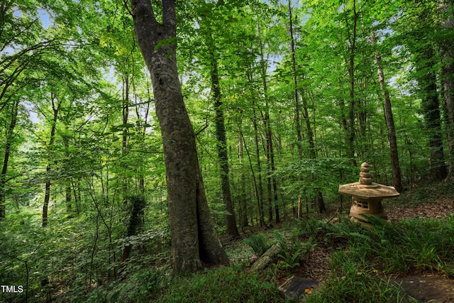 3416 Ocotea St, Raleigh, NC 27607 - view of tree filled area
