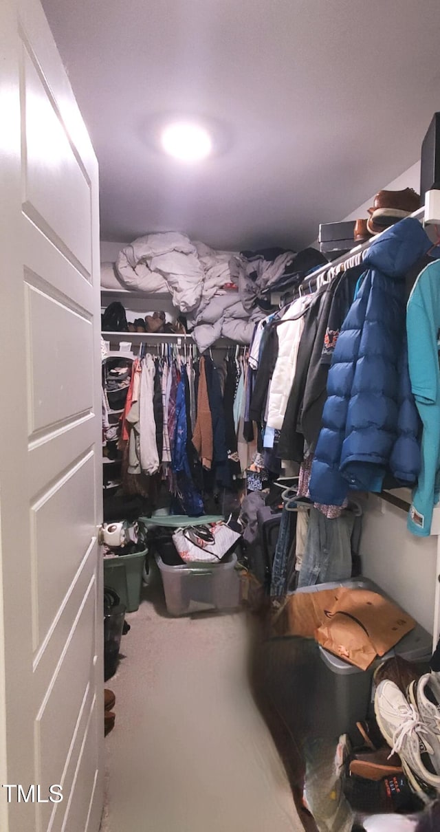 212 Placid Pond Dr, Broadway, NC 27505 - view of spacious closet