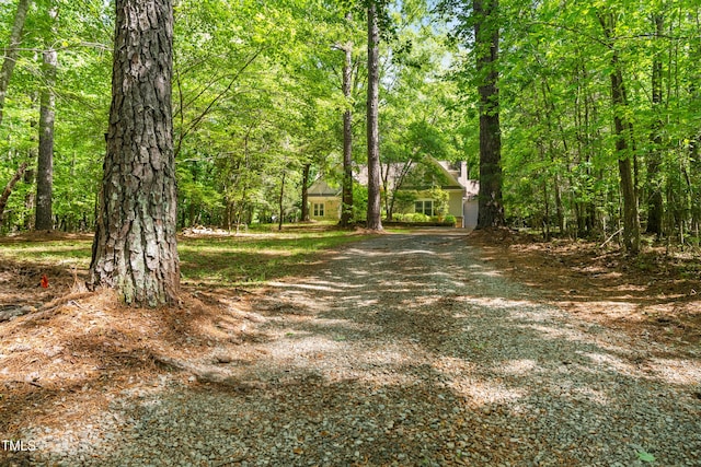 2819 Ellis Chapel Rd, Bahama, NC 27503 - view of dirt / gravel driveway featuring a wooded view