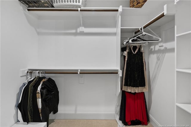 446 Placid Pond Dr, Broadway, NC 27505 - view of spacious closet