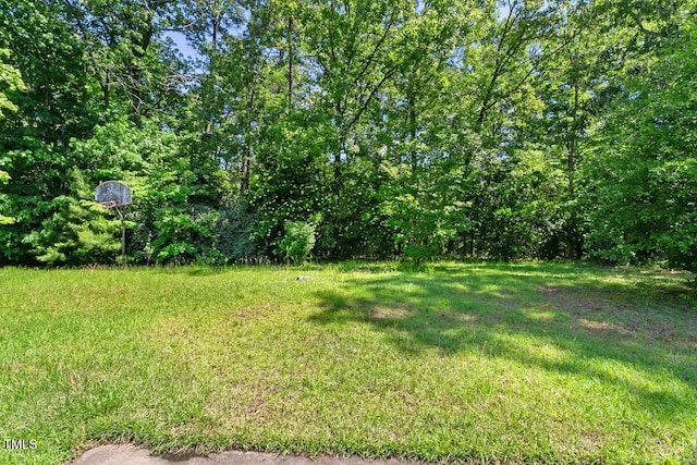 view of grassy yard