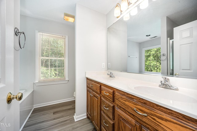 bathroom featuring wood finished floors, double vanity, baseboards, toilet, and a tub to relax in